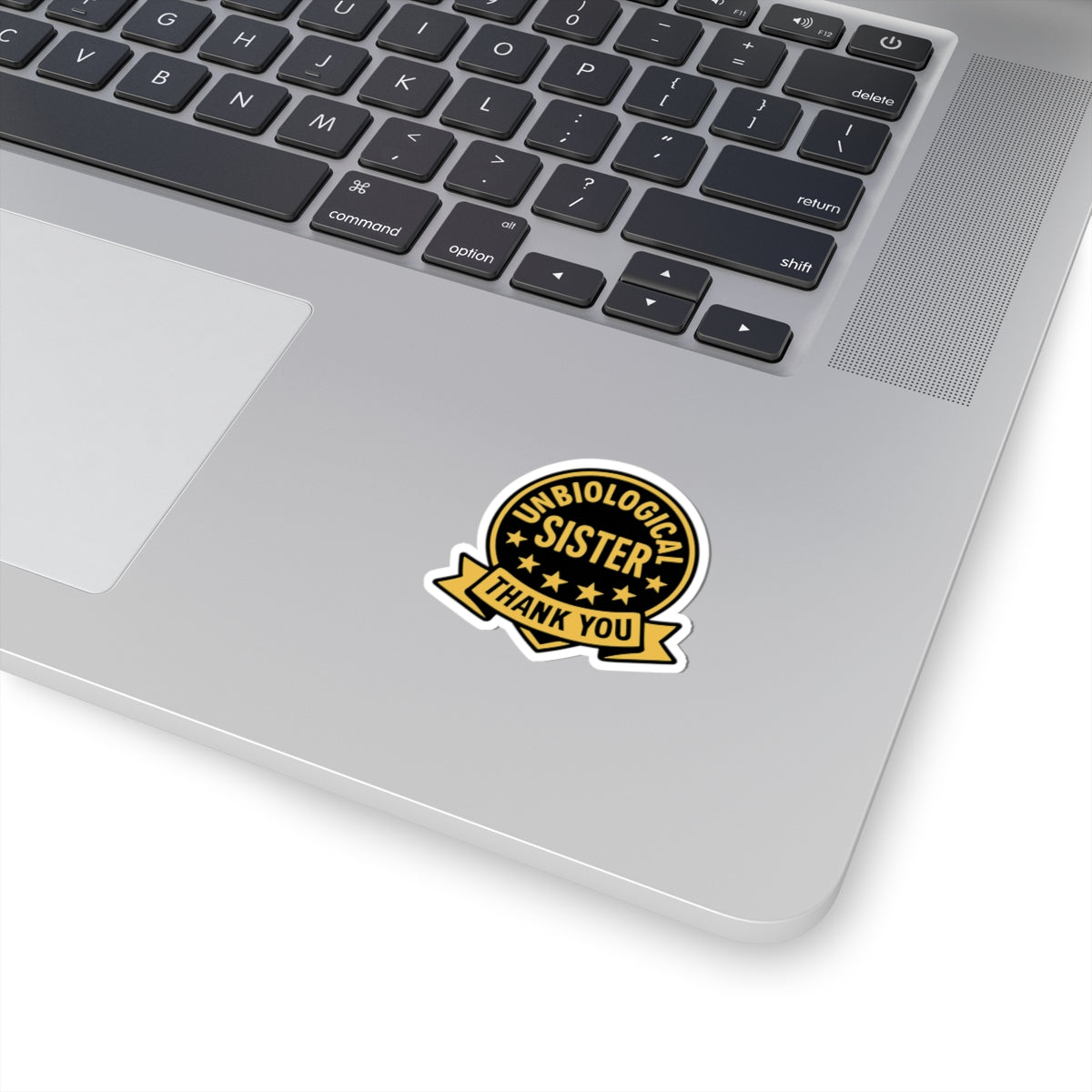 Unbiological Sister Sticker, Best Friend Gift, Chosen Family Decal, Thank You Sister Gift, Soul Sister Appreciation Gift