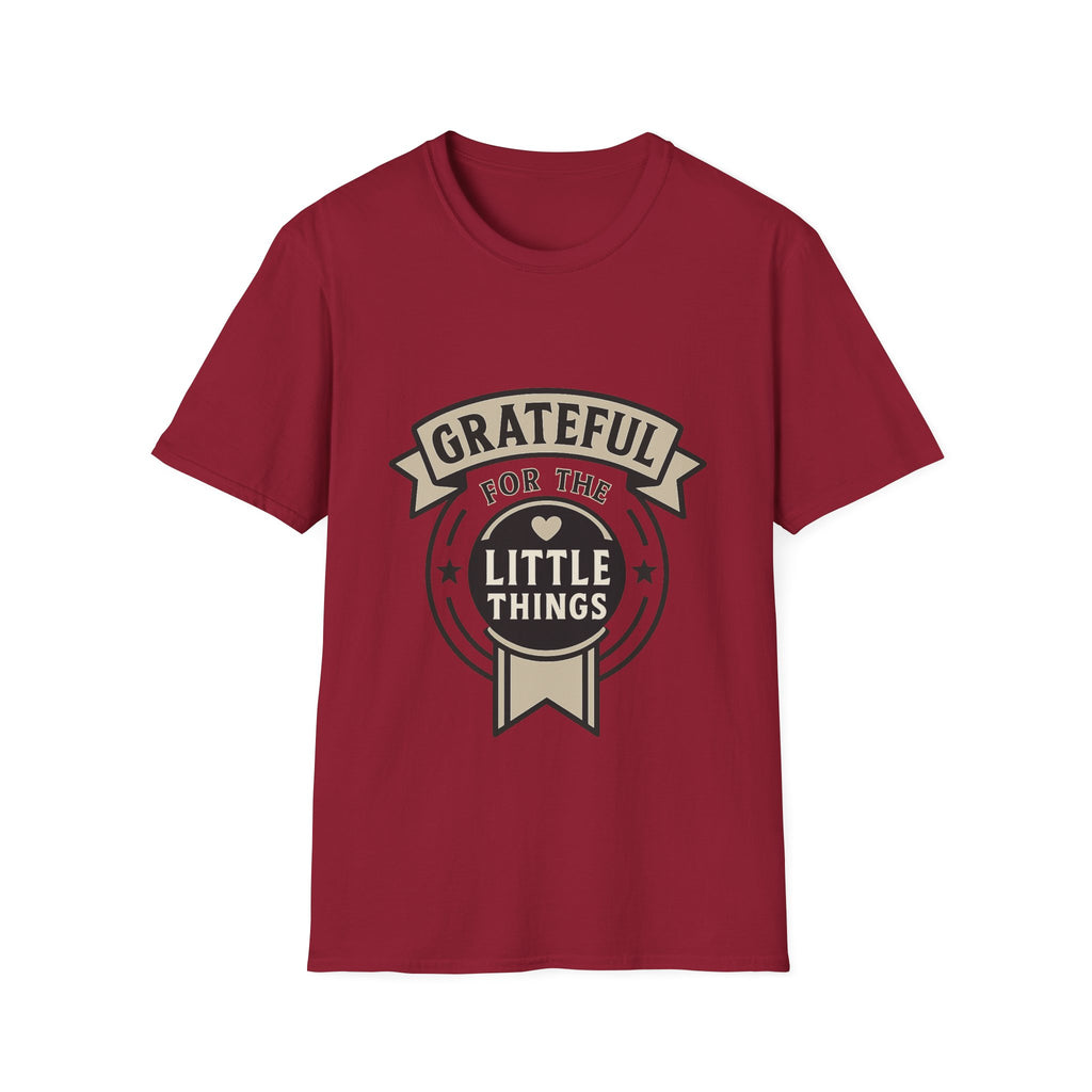 Grateful for the Little Things Shirt, Gratitude Tee, Faith Inspired Blessing T-Shirt, Thankful Everyday Appreciation Gift for Women