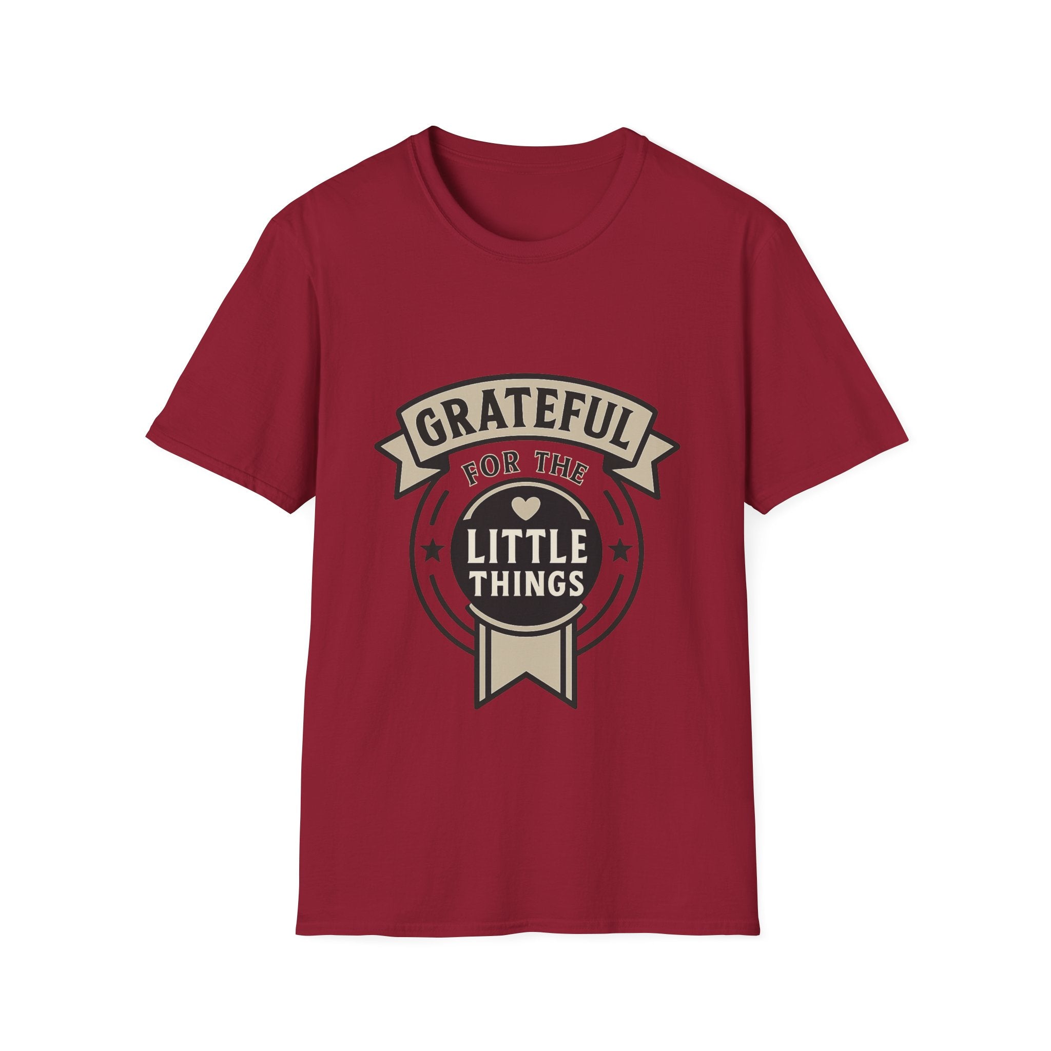 Grateful for the Little Things Shirt, Gratitude Tee, Faith Inspired Blessing T-Shirt, Thankful Everyday Appreciation Gift for Women