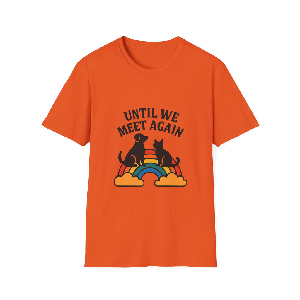 Rainbow Bridge Pet Memorial Shirt, Until We Meet Again Dog Cat Loss Gift, Pet Remembrance Tee, Sympathy Gift for Pet Loss Grief