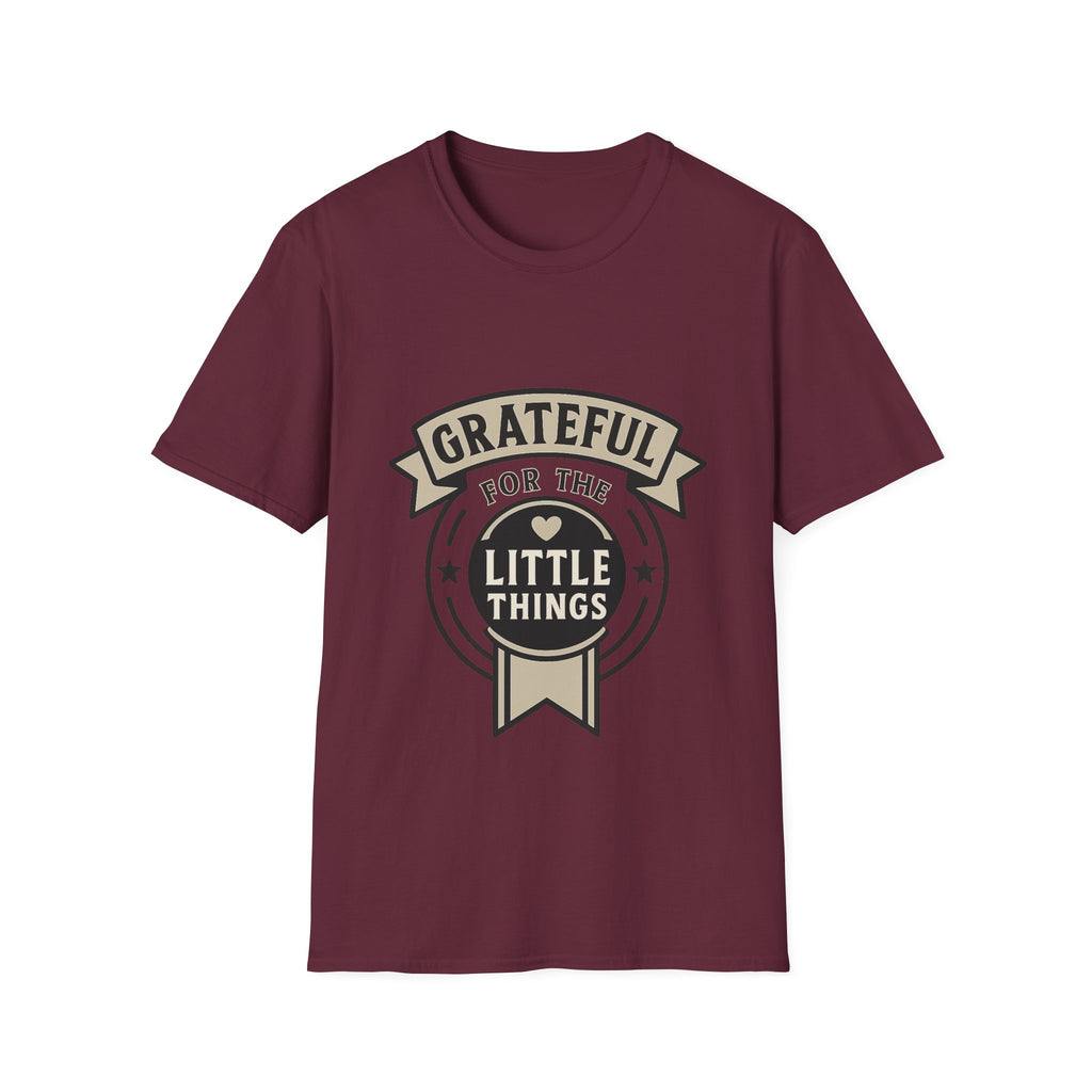 Grateful for the Little Things Shirt, Gratitude Tee, Faith Inspired Blessing T-Shirt, Thankful Everyday Appreciation Gift for Women