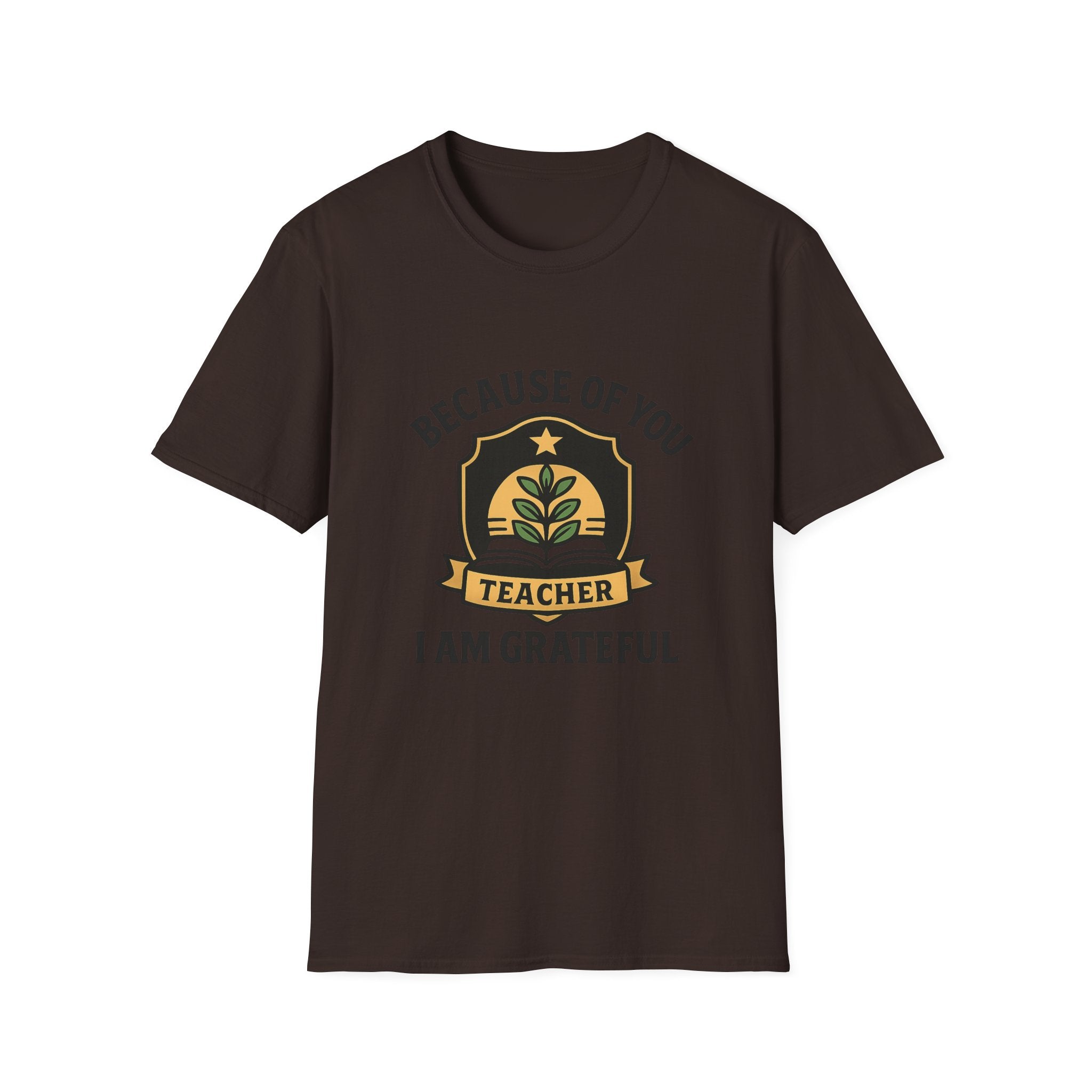 Teacher Appreciation Shirt, Because of You I Am Grateful T-Shirt, Teacher Gift, Thank You Teacher Tee, End of Year Gift