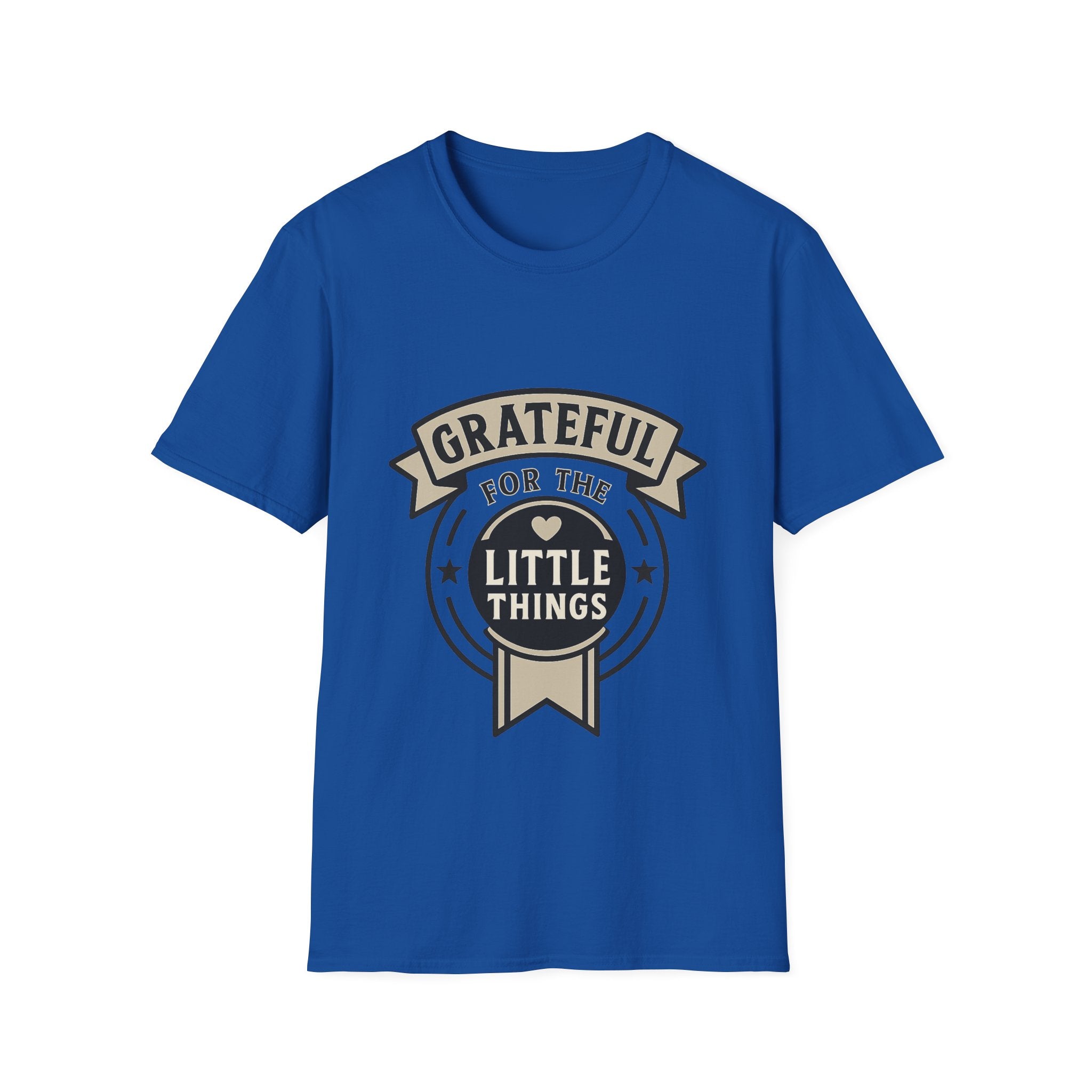 Grateful for the Little Things Shirt, Gratitude Tee, Faith Inspired Blessing T-Shirt, Thankful Everyday Appreciation Gift for Women