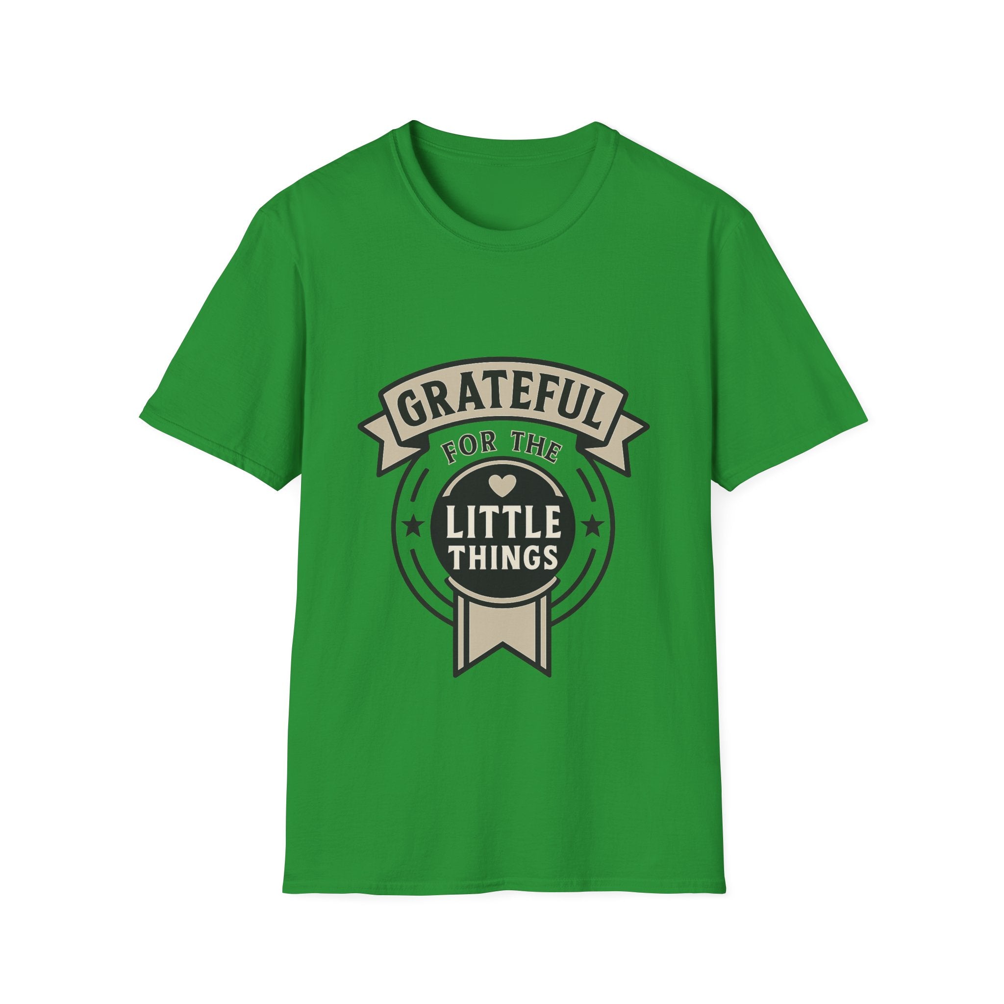 Grateful for the Little Things Shirt, Gratitude Tee, Faith Inspired Blessing T-Shirt, Thankful Everyday Appreciation Gift for Women