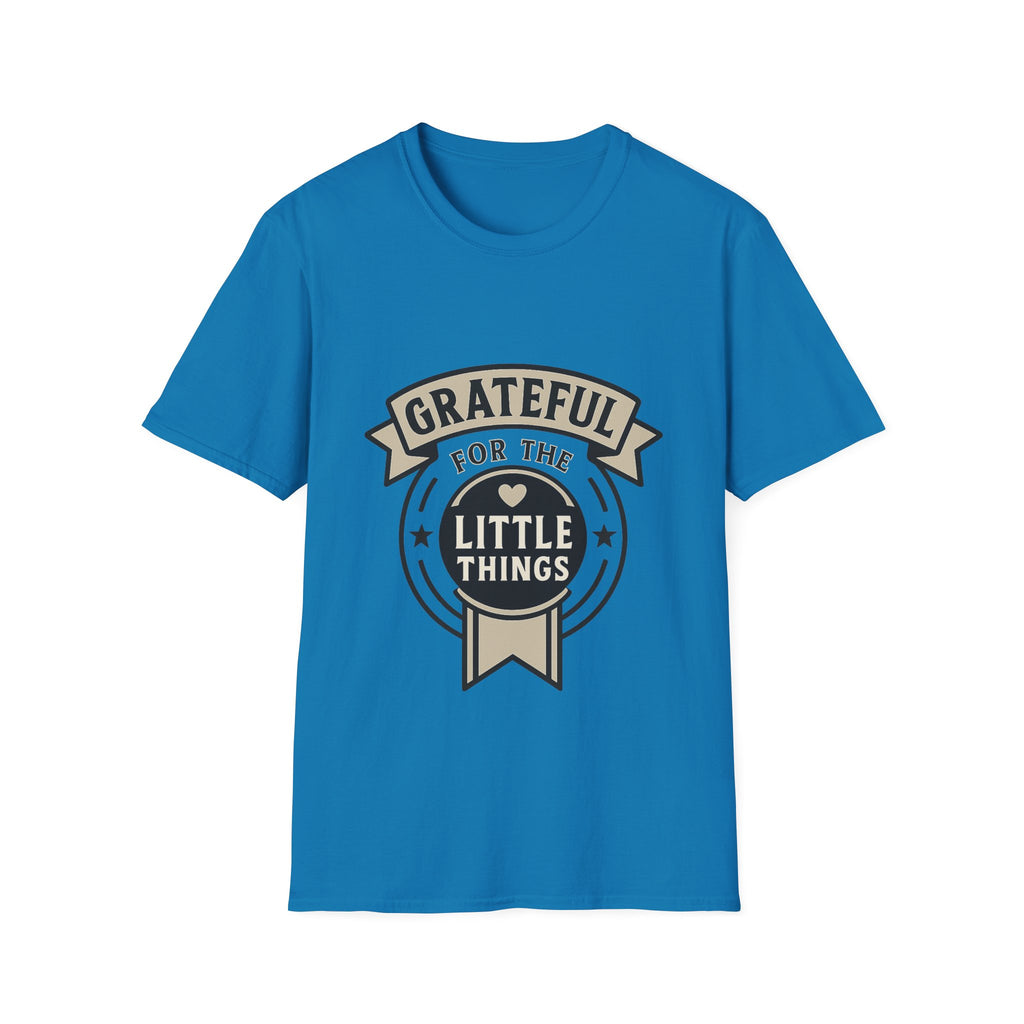 Grateful for the Little Things Shirt, Gratitude Tee, Faith Inspired Blessing T-Shirt, Thankful Everyday Appreciation Gift for Women
