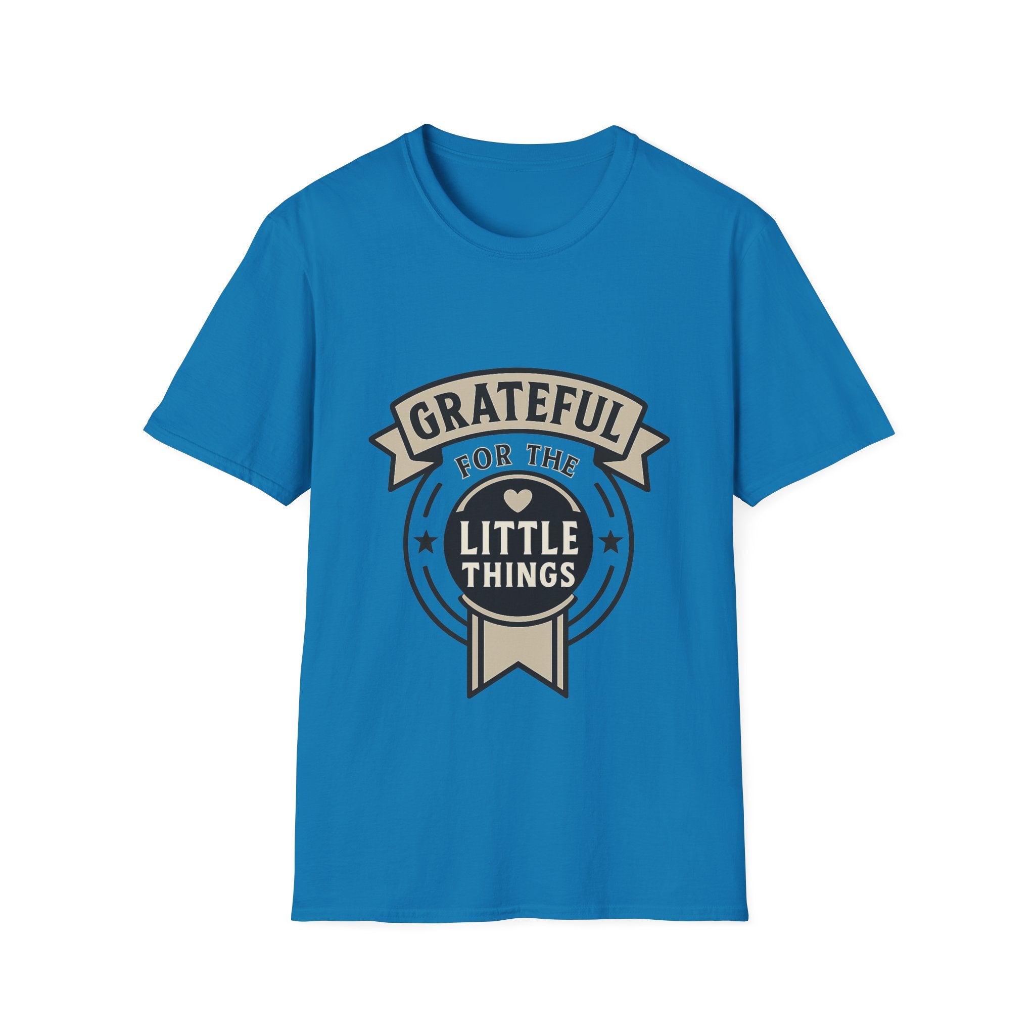 Grateful for the Little Things Shirt, Gratitude Tee, Faith Inspired Blessing T-Shirt, Thankful Everyday Appreciation Gift for Women