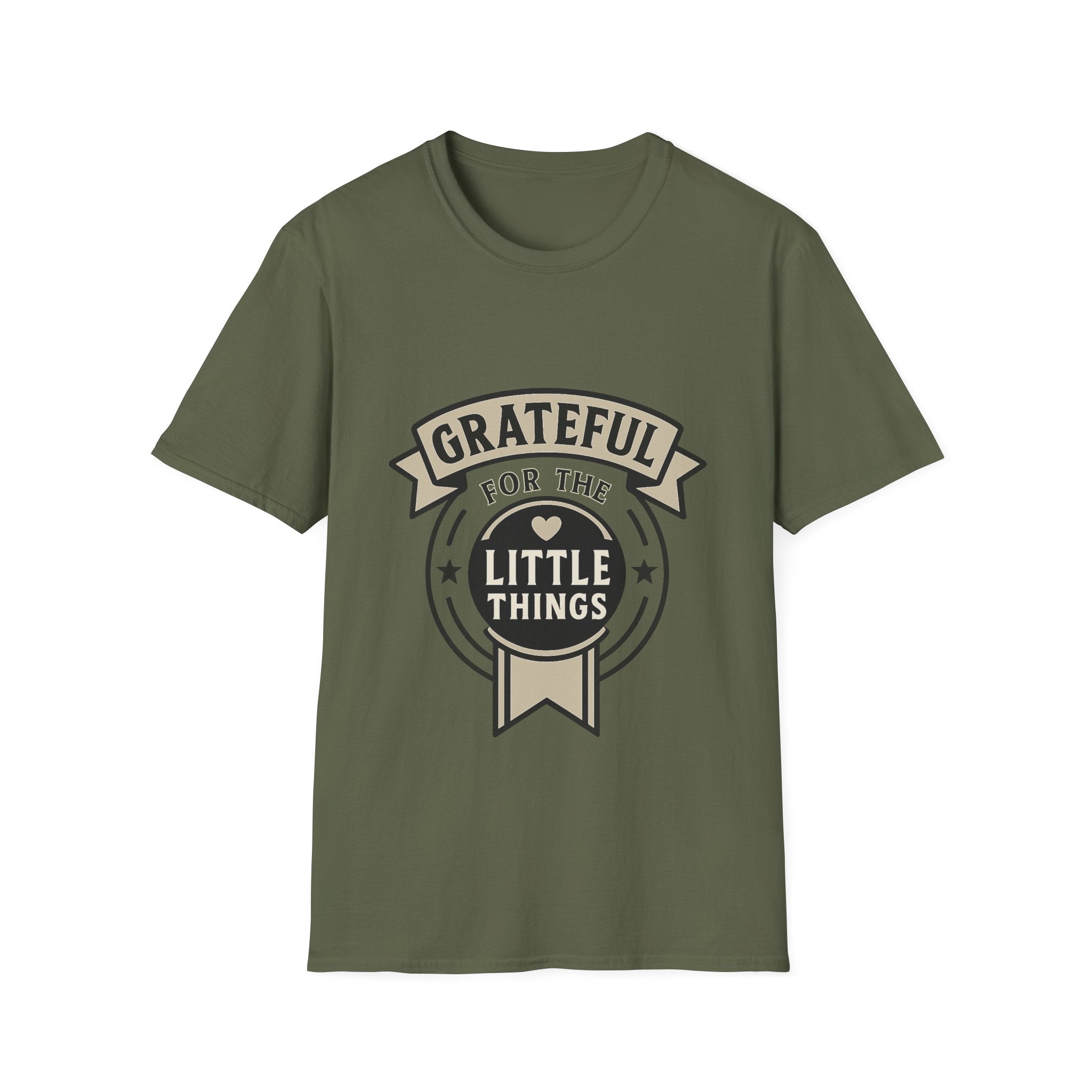 Grateful for the Little Things Shirt, Gratitude Tee, Faith Inspired Blessing T-Shirt, Thankful Everyday Appreciation Gift for Women