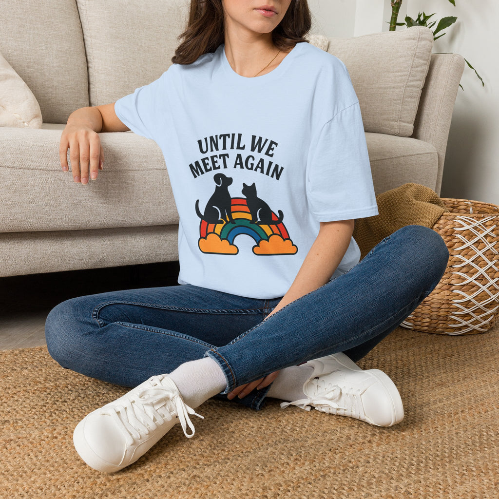 Rainbow Bridge Pet Memorial Shirt, Until We Meet Again Dog Cat Loss Gift, Pet Remembrance Tee, Sympathy Gift for Pet Loss Grief