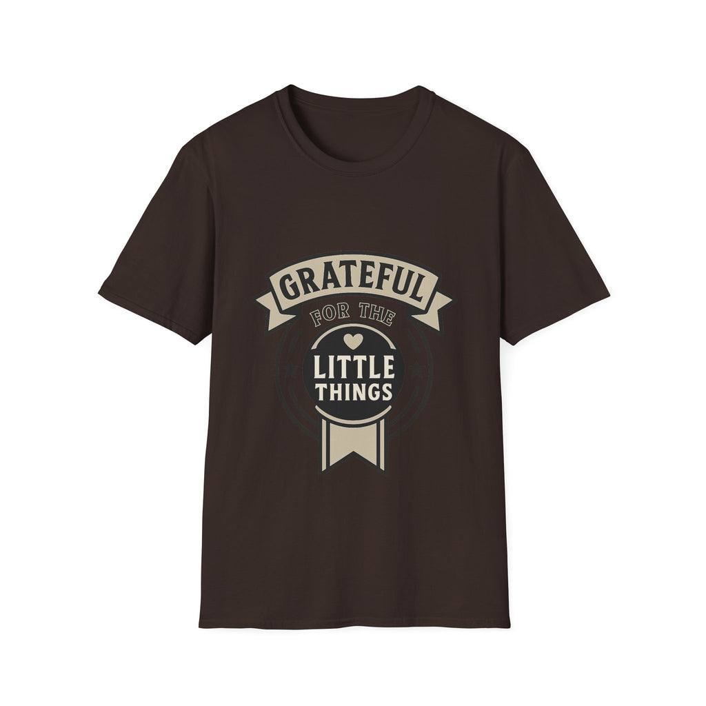 Grateful for the Little Things Shirt, Gratitude Tee, Faith Inspired Blessing T-Shirt, Thankful Everyday Appreciation Gift for Women