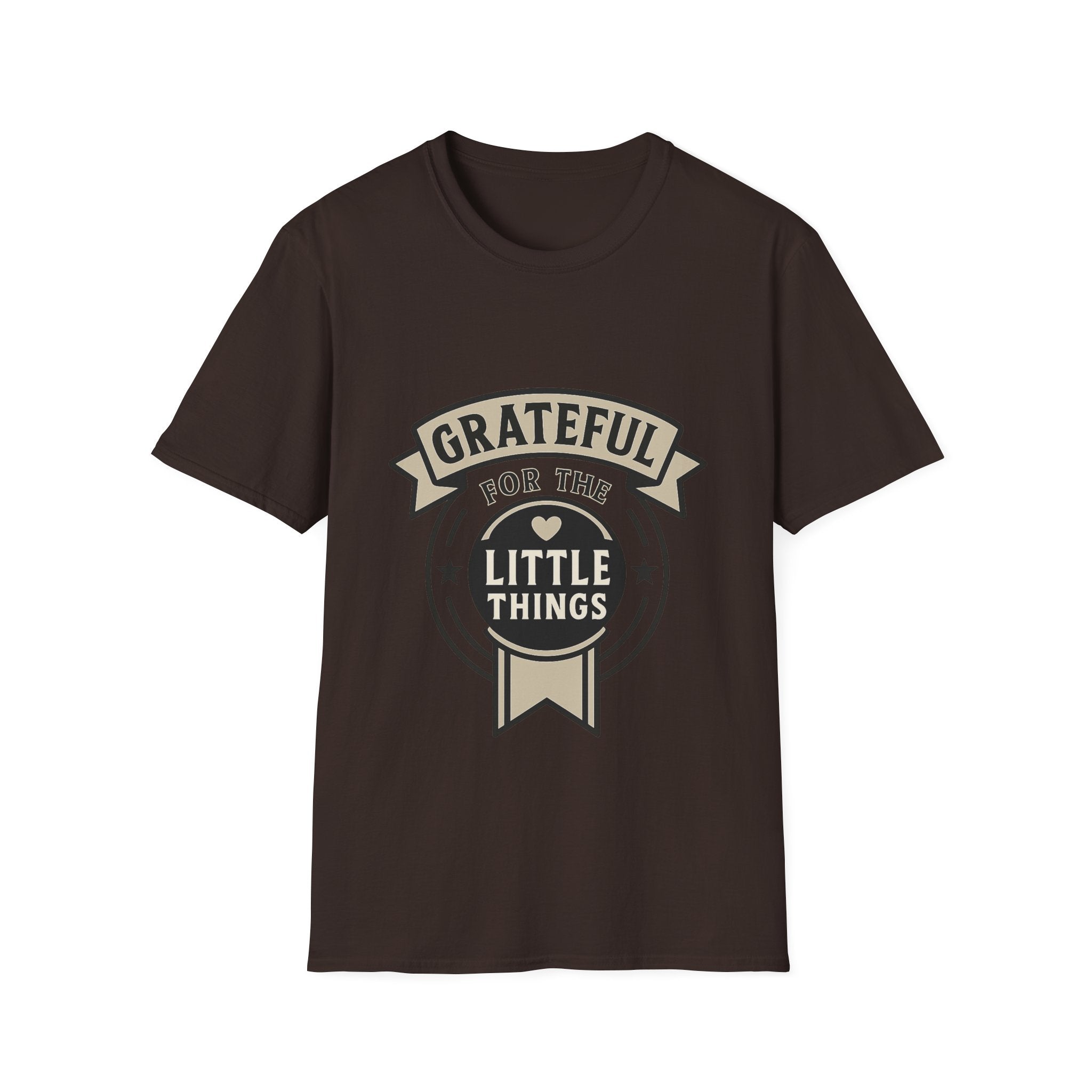 Grateful for the Little Things Shirt, Gratitude Tee, Faith Inspired Blessing T-Shirt, Thankful Everyday Appreciation Gift for Women