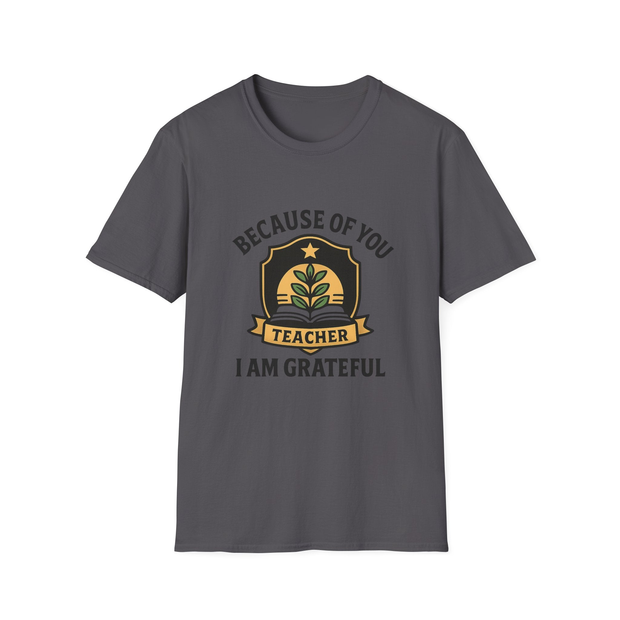 Teacher Appreciation Shirt, Because of You I Am Grateful T-Shirt, Teacher Gift, Thank You Teacher Tee, End of Year Gift