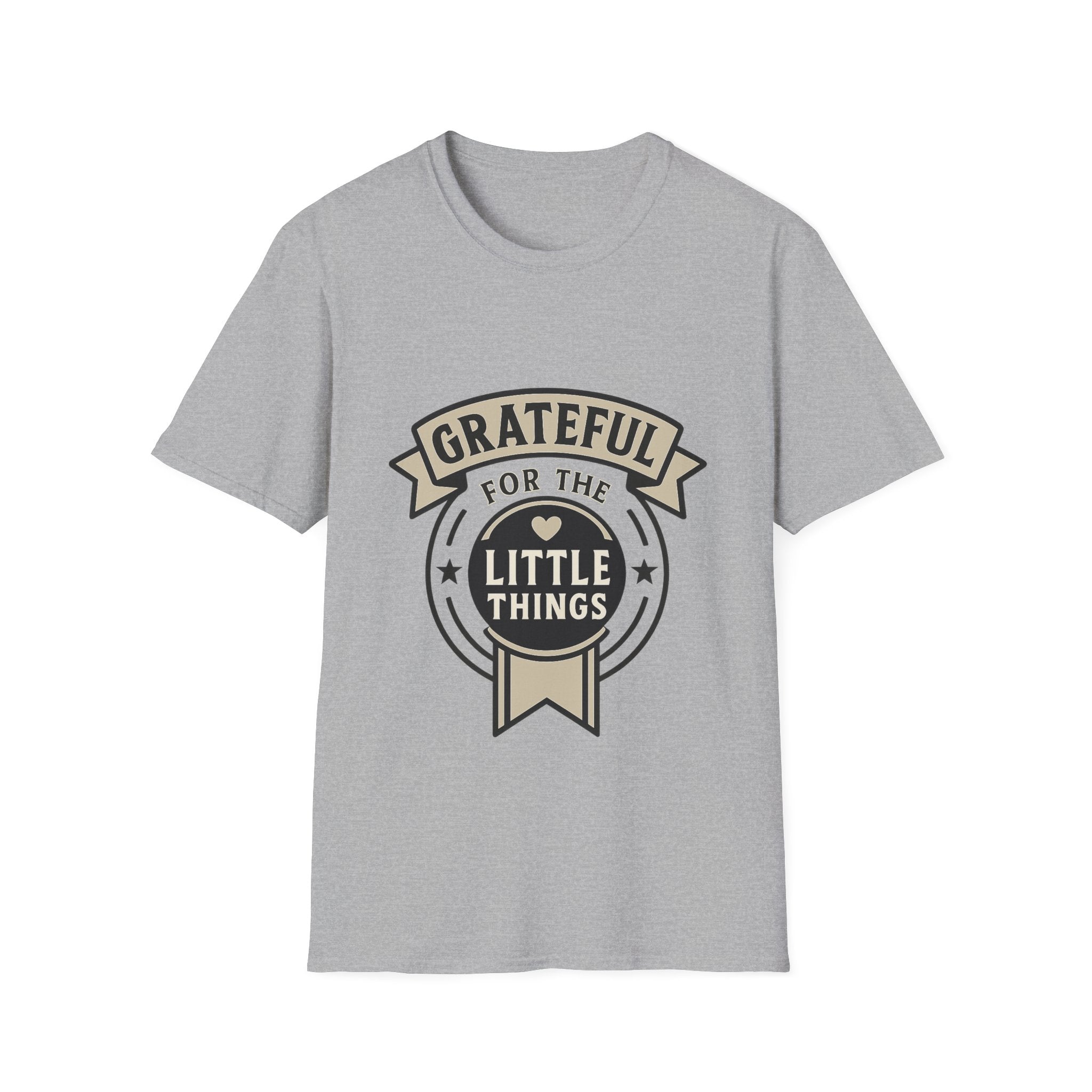 Grateful for the Little Things Shirt, Gratitude Tee, Faith Inspired Blessing T-Shirt, Thankful Everyday Appreciation Gift for Women