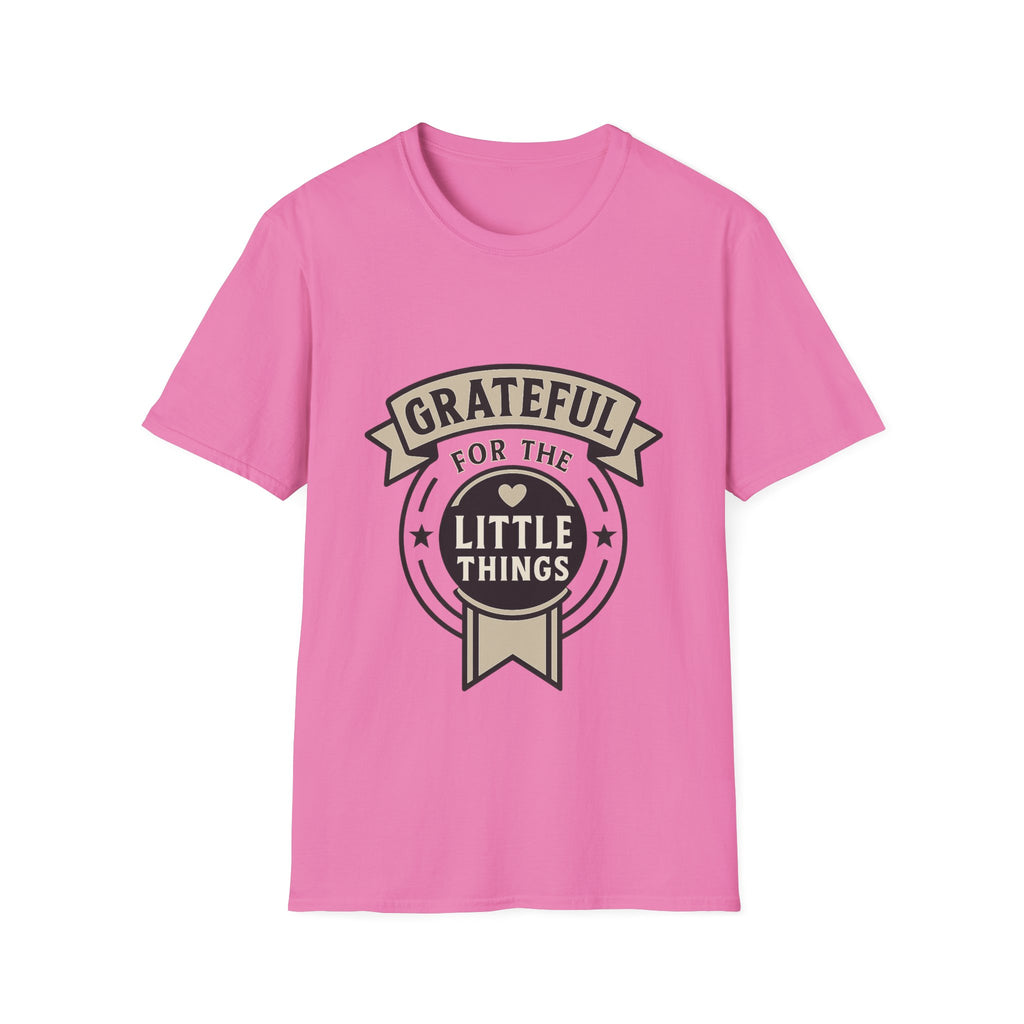 Grateful for the Little Things Shirt, Gratitude Tee, Faith Inspired Blessing T-Shirt, Thankful Everyday Appreciation Gift for Women