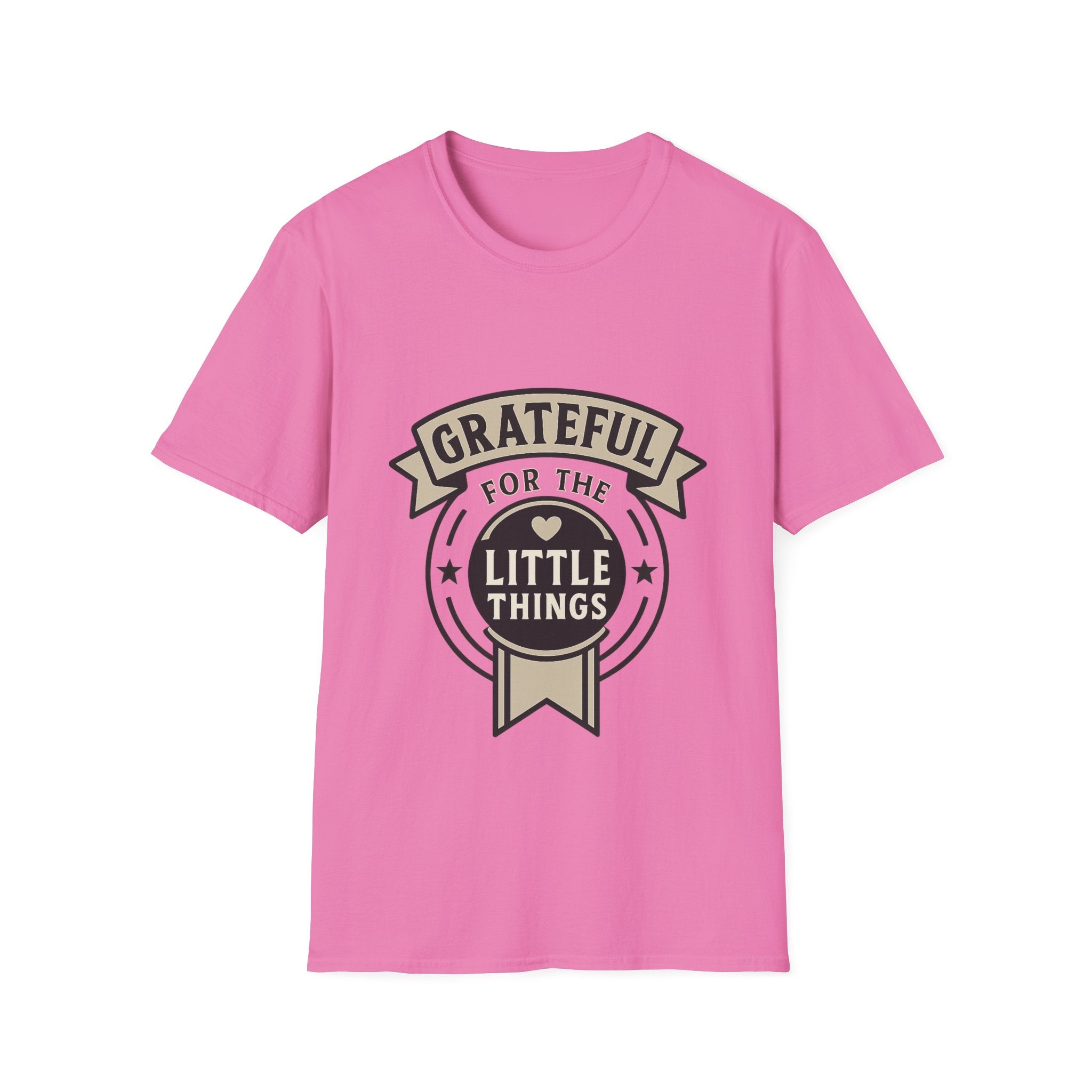 Grateful for the Little Things Shirt, Gratitude Tee, Faith Inspired Blessing T-Shirt, Thankful Everyday Appreciation Gift for Women
