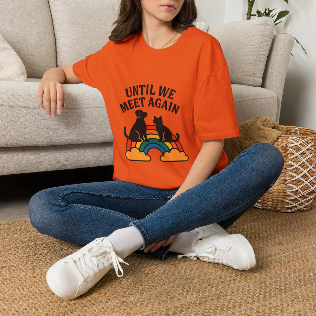 Rainbow Bridge Pet Memorial Shirt, Until We Meet Again Dog Cat Loss Gift, Pet Remembrance Tee, Sympathy Gift for Pet Loss Grief