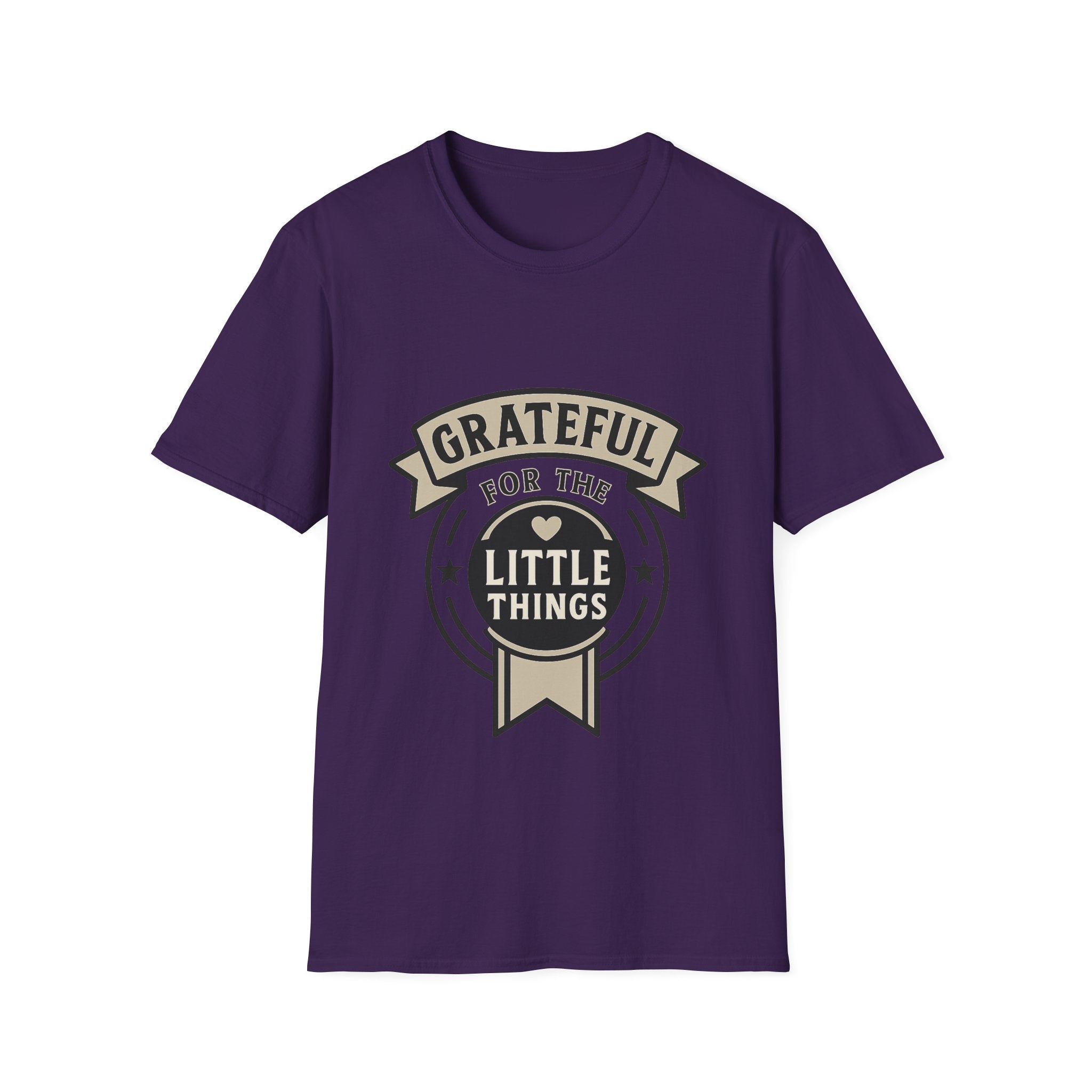 Grateful for the Little Things Shirt, Gratitude Tee, Faith Inspired Blessing T-Shirt, Thankful Everyday Appreciation Gift for Women