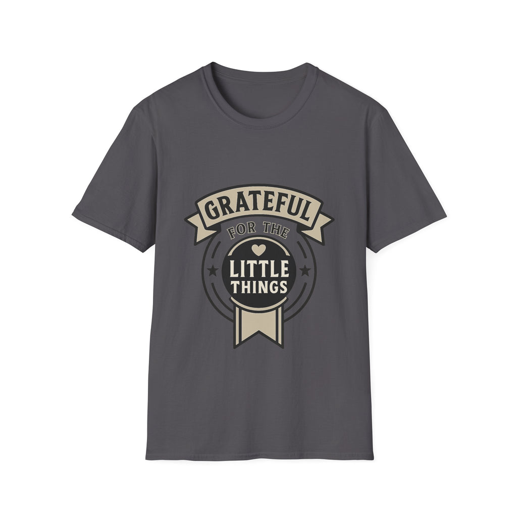 Grateful for the Little Things Shirt, Gratitude Tee, Faith Inspired Blessing T-Shirt, Thankful Everyday Appreciation Gift for Women