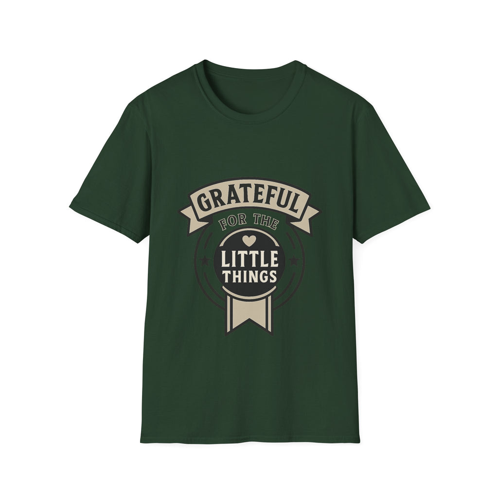 Grateful for the Little Things Shirt, Gratitude Tee, Faith Inspired Blessing T-Shirt, Thankful Everyday Appreciation Gift for Women