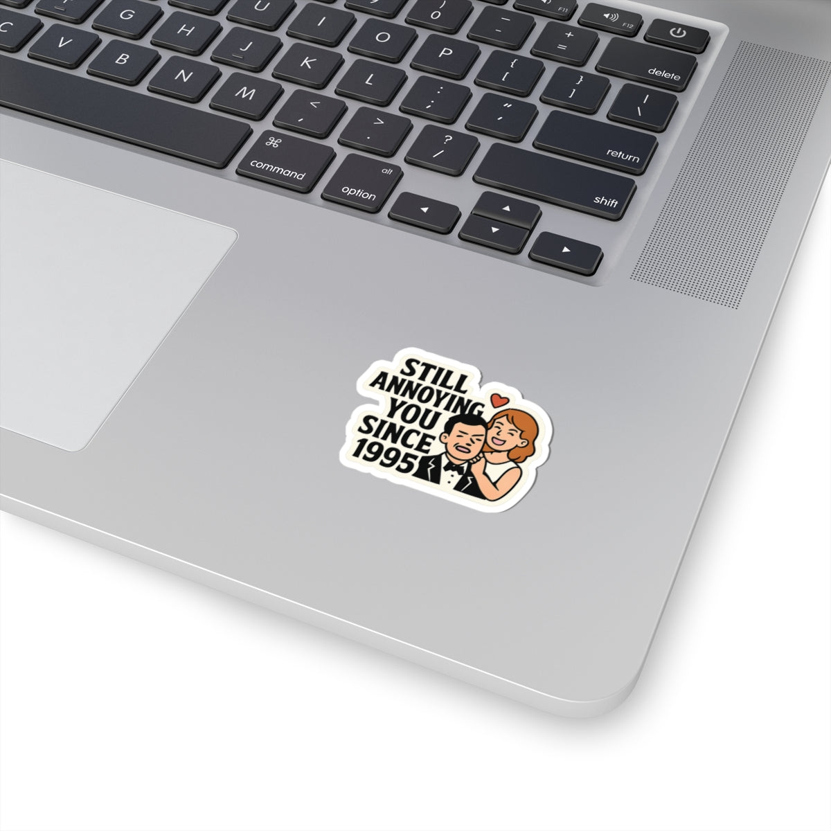 Funny Anniversary Sticker, Still Annoying You Since 1995 Gift, Wedding Anniversary Gift for Husband Wife, Marriage Humor Sticker