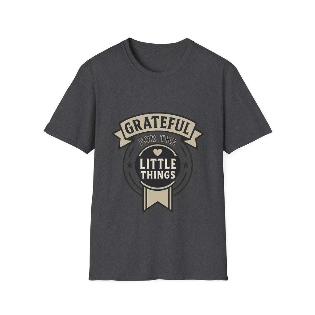 Grateful for the Little Things Shirt, Gratitude Tee, Faith Inspired Blessing T-Shirt, Thankful Everyday Appreciation Gift for Women