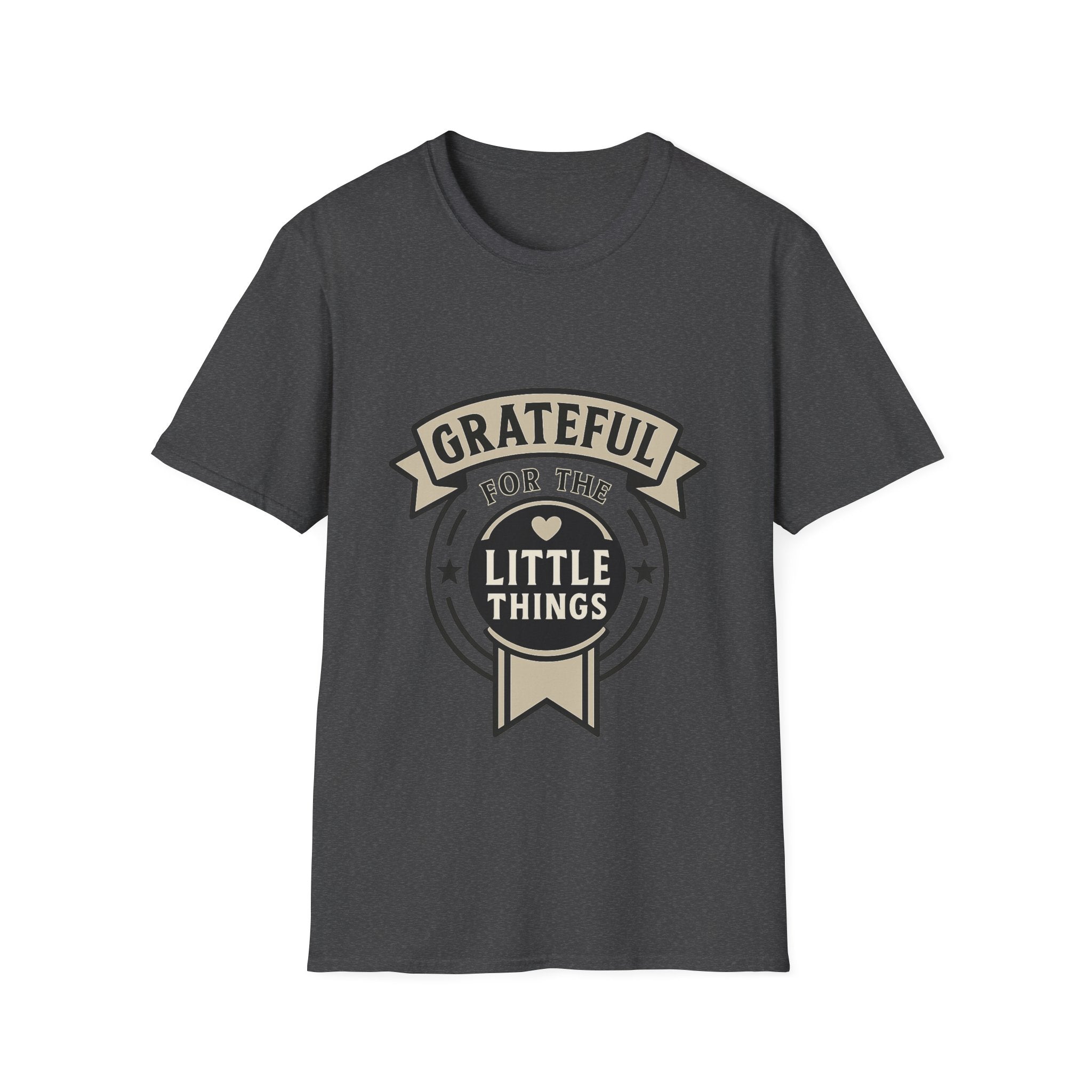 Grateful for the Little Things Shirt, Gratitude Tee, Faith Inspired Blessing T-Shirt, Thankful Everyday Appreciation Gift for Women
