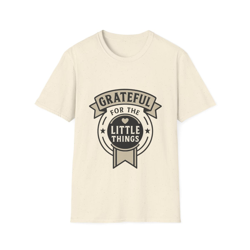 Grateful for the Little Things Shirt, Gratitude Tee, Faith Inspired Blessing T-Shirt, Thankful Everyday Appreciation Gift for Women