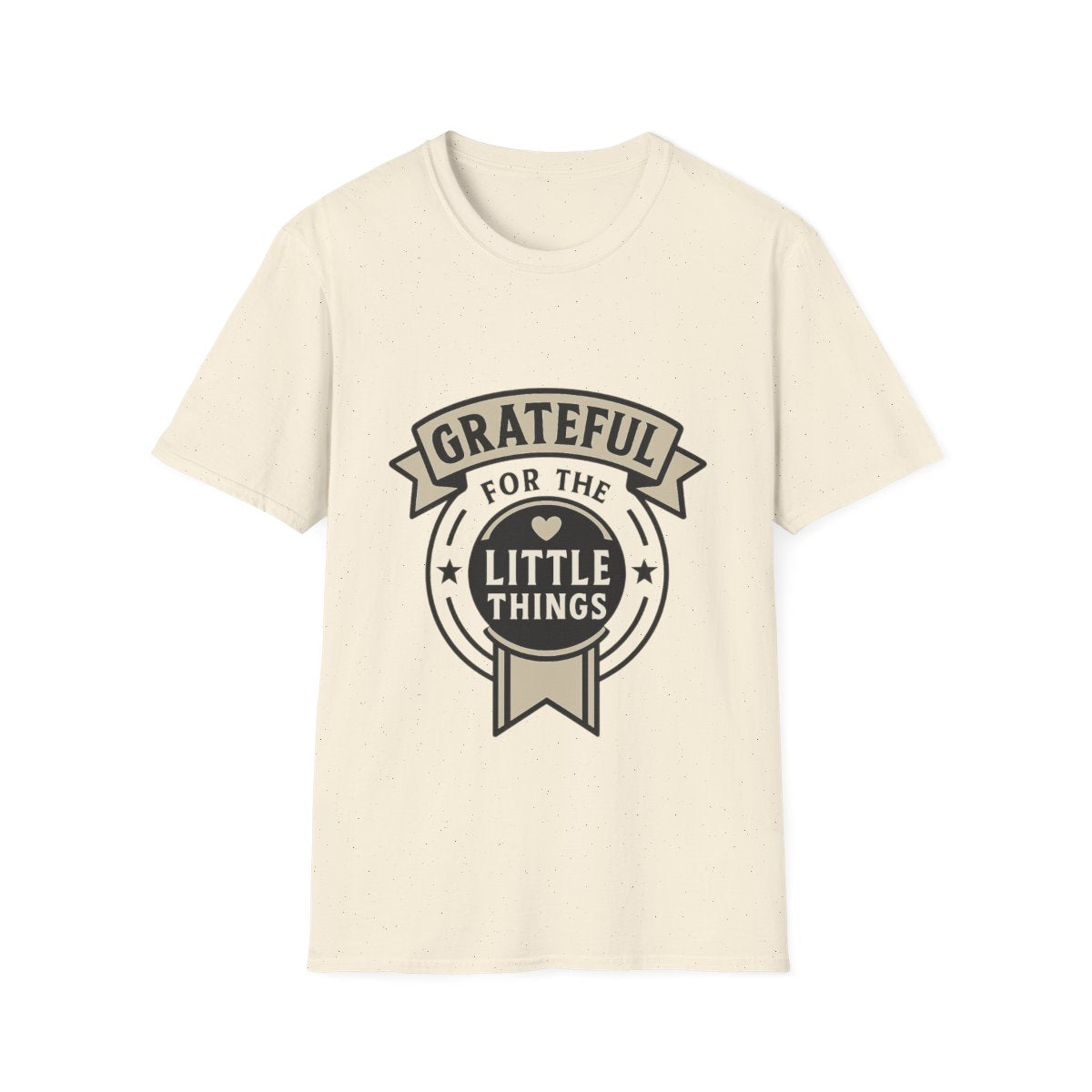 Grateful for the Little Things Shirt, Gratitude Tee, Faith Inspired Blessing T-Shirt, Thankful Everyday Appreciation Gift for Women