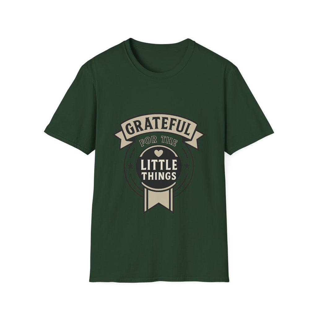 Grateful for the Little Things Shirt, Gratitude Tee, Faith Inspired Blessing T-Shirt, Thankful Everyday Appreciation Gift for Women
