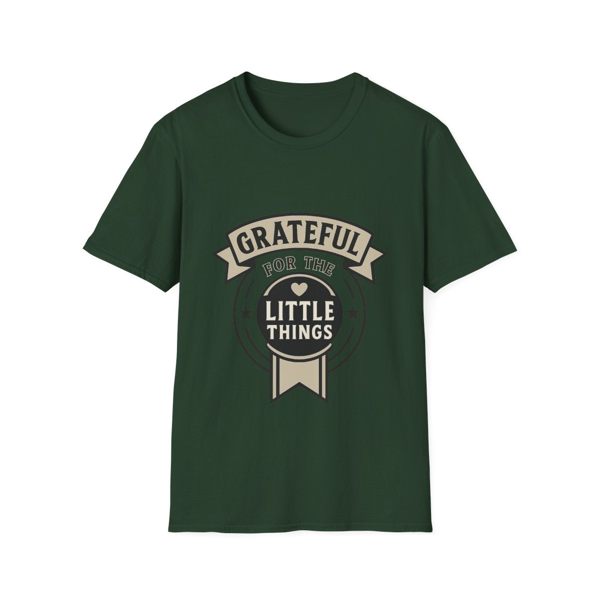 Grateful for the Little Things Shirt, Gratitude Tee, Faith Inspired Blessing T-Shirt, Thankful Everyday Appreciation Gift for Women