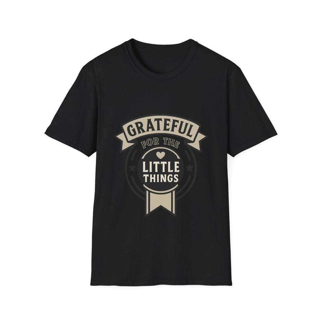 Grateful for the Little Things Shirt, Gratitude Tee, Faith Inspired Blessing T-Shirt, Thankful Everyday Appreciation Gift for Women