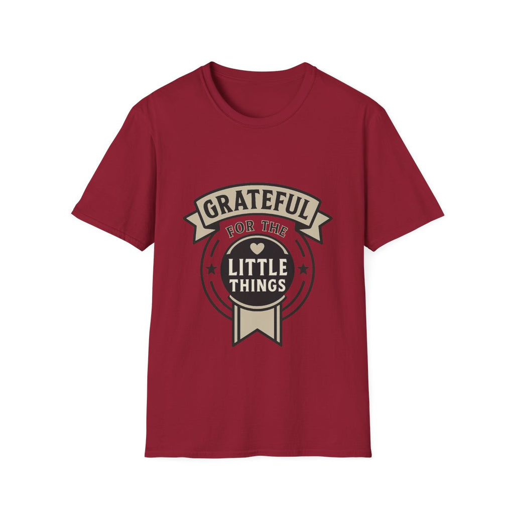 Grateful for the Little Things Shirt, Gratitude Tee, Faith Inspired Blessing T-Shirt, Thankful Everyday Appreciation Gift for Women
