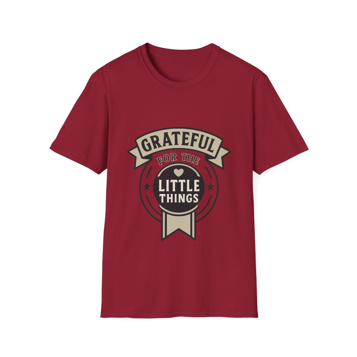 Grateful for the Little Things Shirt, Gratitude Tee, Faith Inspired Blessing T-Shirt, Thankful Everyday Appreciation Gift for Women