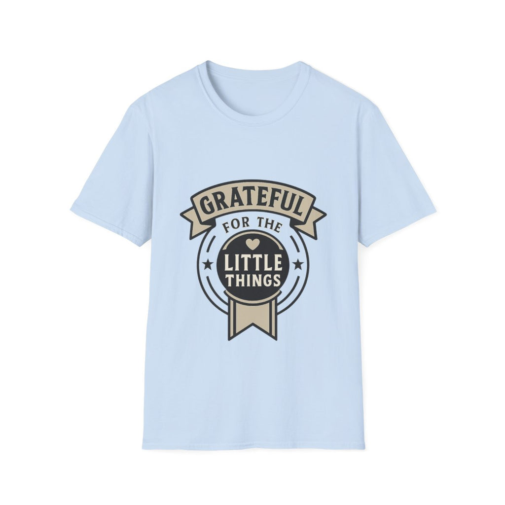 Grateful for the Little Things Shirt, Gratitude Tee, Faith Inspired Blessing T-Shirt, Thankful Everyday Appreciation Gift for Women