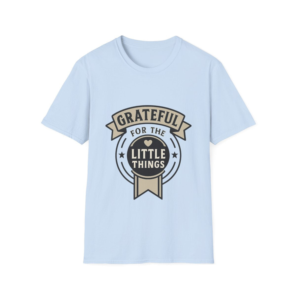Grateful for the Little Things Shirt, Gratitude Tee, Faith Inspired Blessing T-Shirt, Thankful Everyday Appreciation Gift for Women