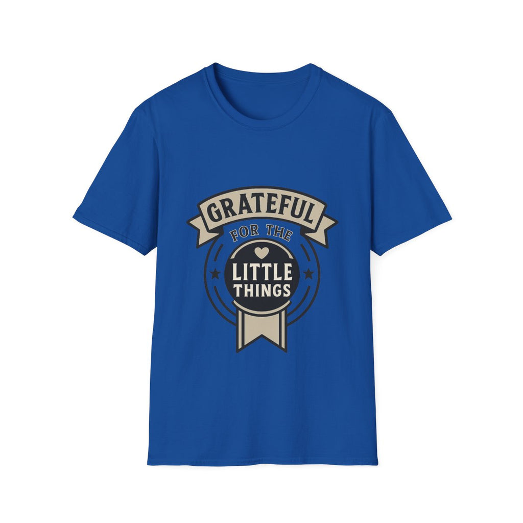 Grateful for the Little Things Shirt, Gratitude Tee, Faith Inspired Blessing T-Shirt, Thankful Everyday Appreciation Gift for Women