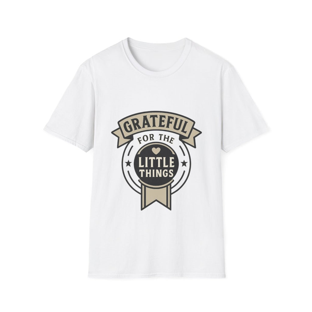 Grateful for the Little Things Shirt, Gratitude Tee, Faith Inspired Blessing T-Shirt, Thankful Everyday Appreciation Gift for Women