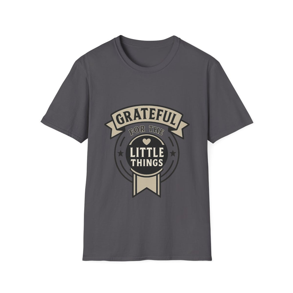 Grateful for the Little Things Shirt, Gratitude Tee, Faith Inspired Blessing T-Shirt, Thankful Everyday Appreciation Gift for Women