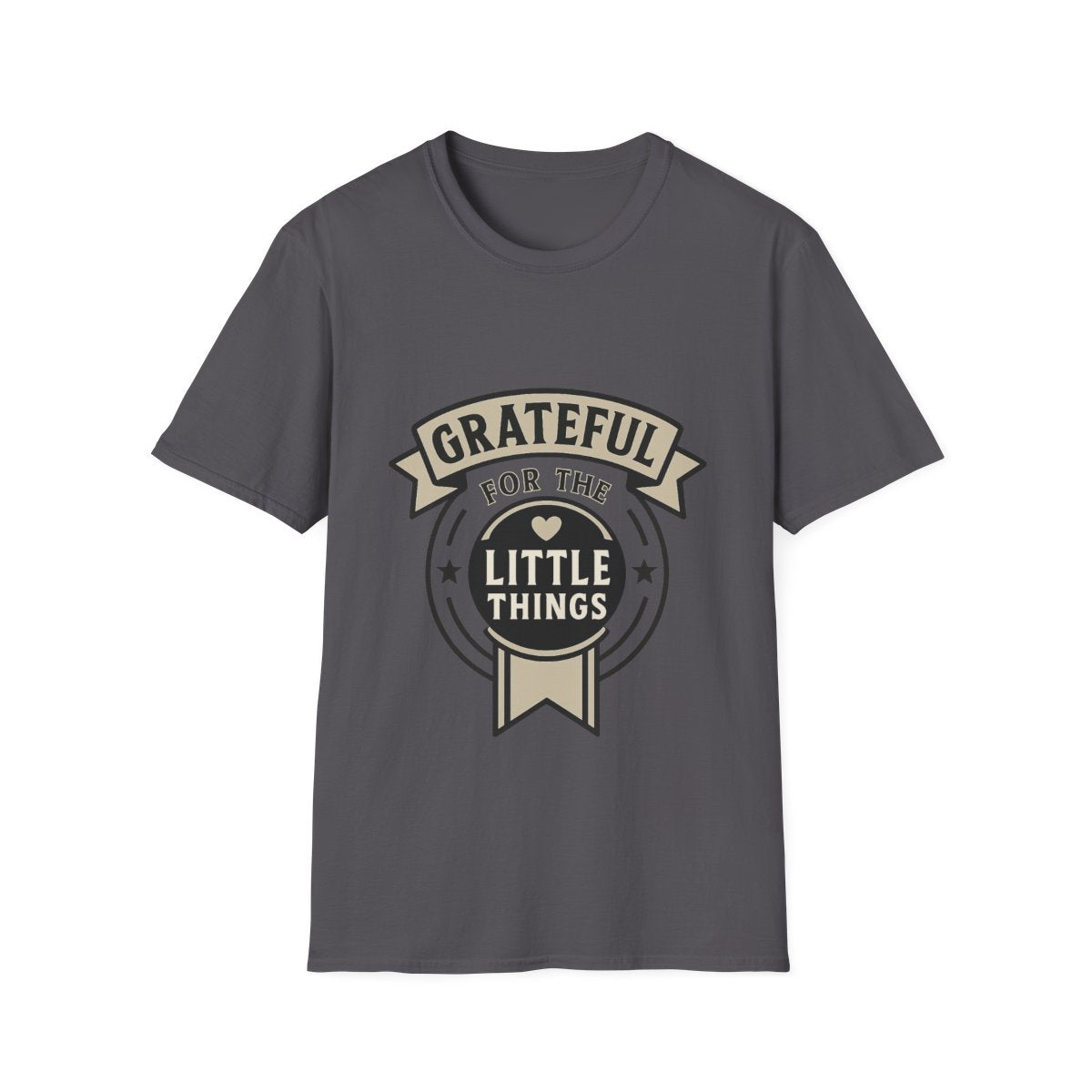 Grateful for the Little Things Shirt, Gratitude Tee, Faith Inspired Blessing T-Shirt, Thankful Everyday Appreciation Gift for Women