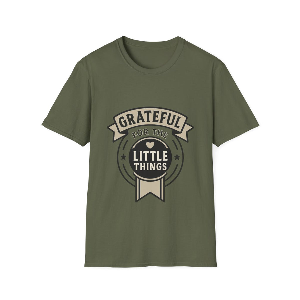 Grateful for the Little Things Shirt, Gratitude Tee, Faith Inspired Blessing T-Shirt, Thankful Everyday Appreciation Gift for Women