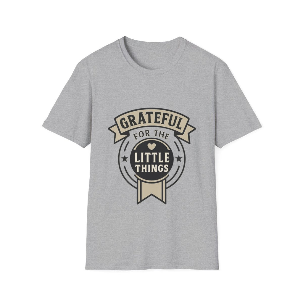 Grateful for the Little Things Shirt, Gratitude Tee, Faith Inspired Blessing T-Shirt, Thankful Everyday Appreciation Gift for Women