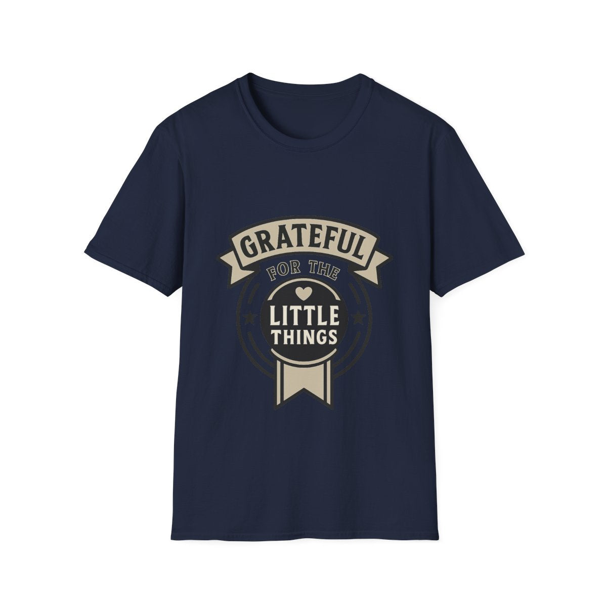 Grateful for the Little Things Shirt, Gratitude Tee, Faith Inspired Blessing T-Shirt, Thankful Everyday Appreciation Gift for Women