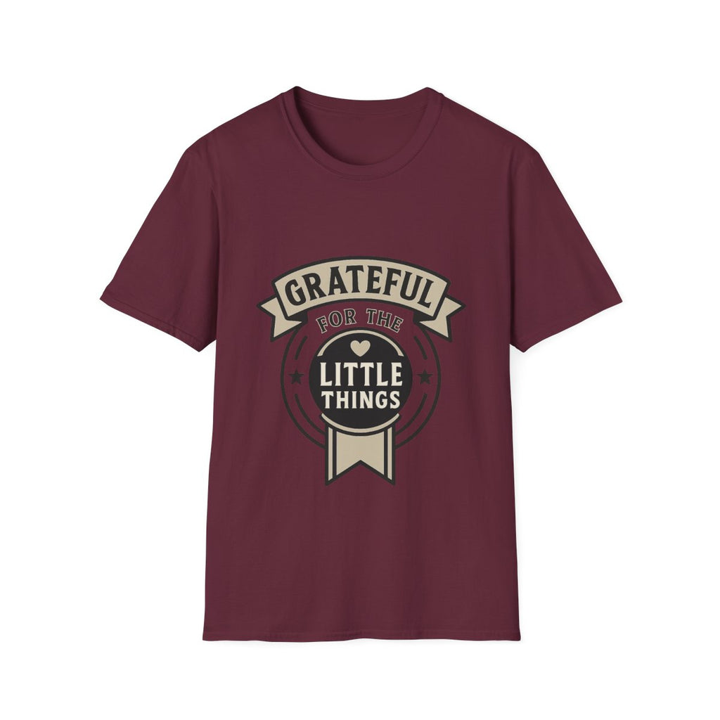 Grateful for the Little Things Shirt, Gratitude Tee, Faith Inspired Blessing T-Shirt, Thankful Everyday Appreciation Gift for Women