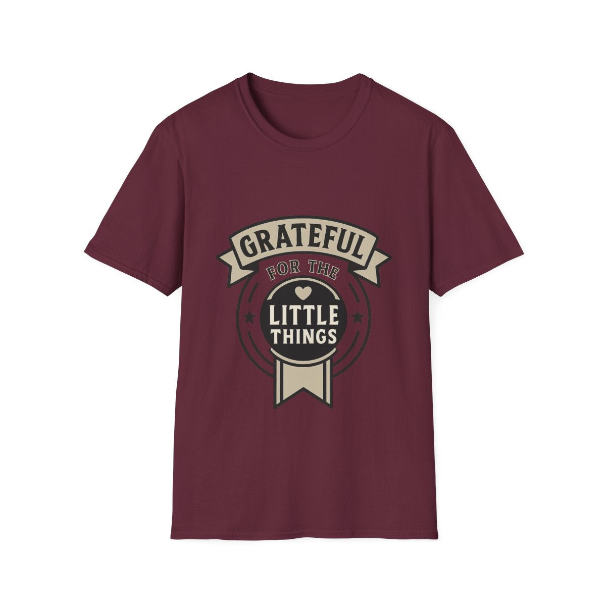 Grateful for the Little Things Shirt, Gratitude Tee, Faith Inspired Blessing T-Shirt, Thankful Everyday Appreciation Gift for Women