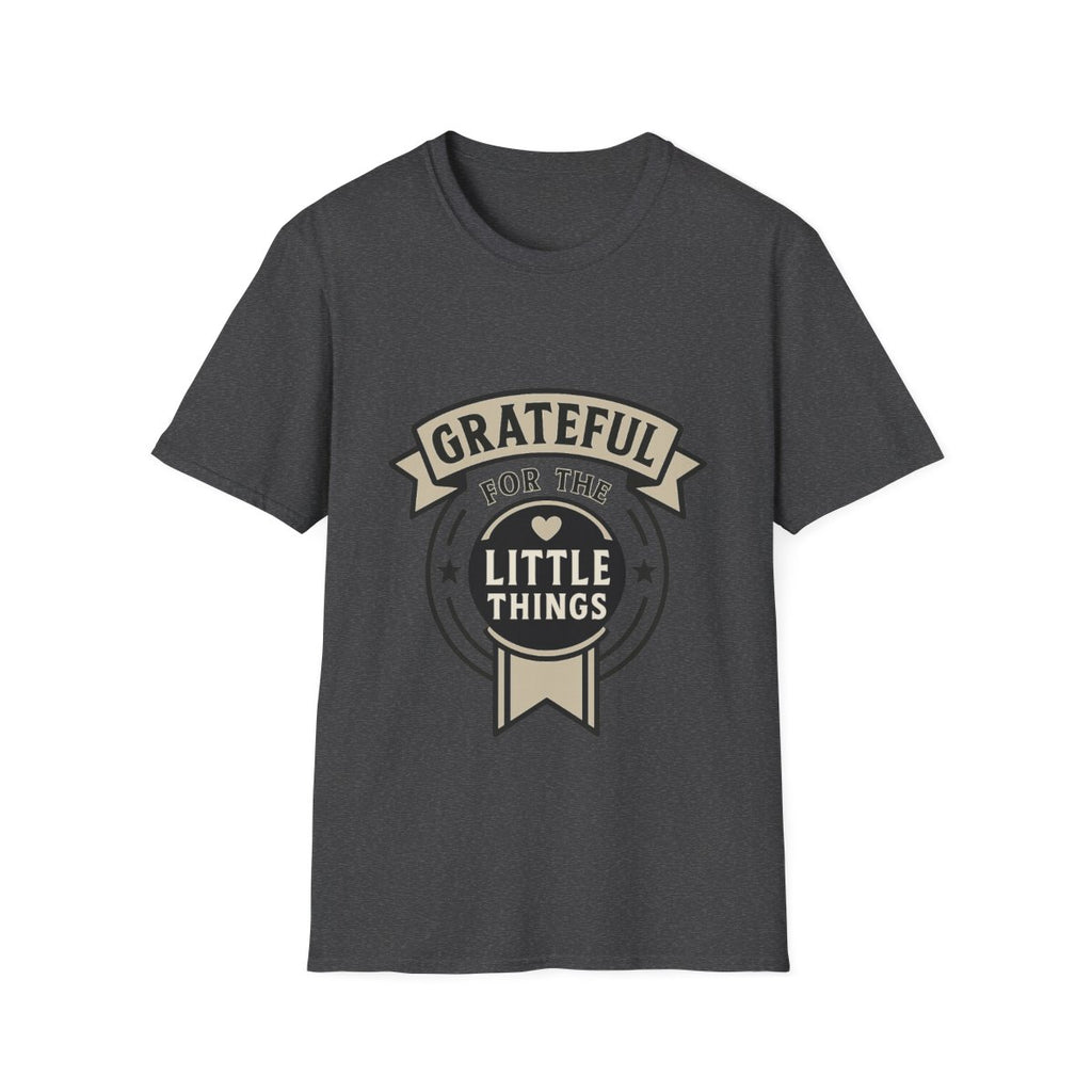 Grateful for the Little Things Shirt, Gratitude Tee, Faith Inspired Blessing T-Shirt, Thankful Everyday Appreciation Gift for Women