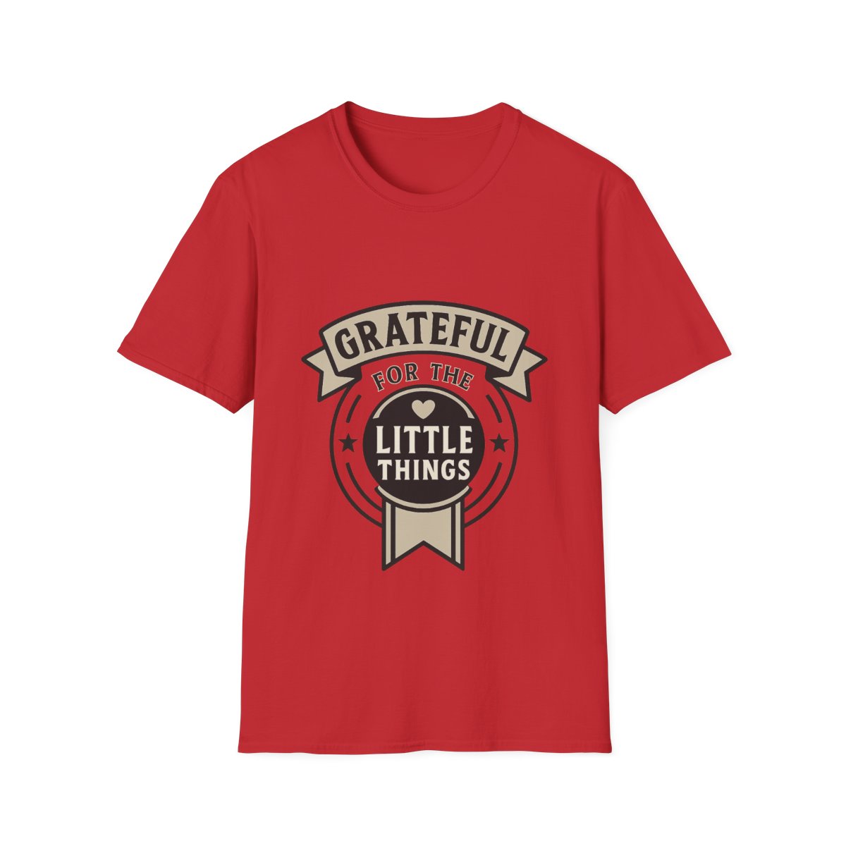 Grateful for the Little Things Shirt, Gratitude Tee, Faith Inspired Blessing T-Shirt, Thankful Everyday Appreciation Gift for Women
