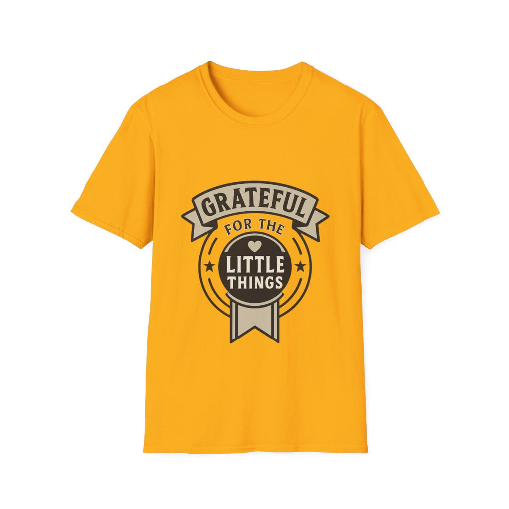 Grateful for the Little Things Shirt, Gratitude Tee, Faith Inspired Blessing T-Shirt, Thankful Everyday Appreciation Gift for Women