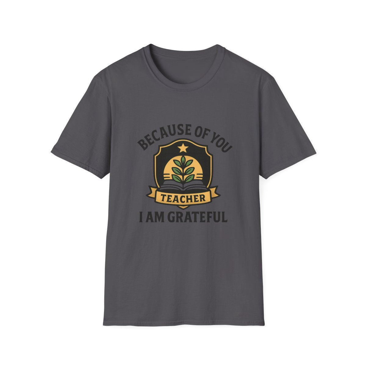 Teacher Appreciation Shirt, Because of You I Am Grateful T-Shirt, Teacher Gift, Thank You Teacher Tee, End of Year Gift