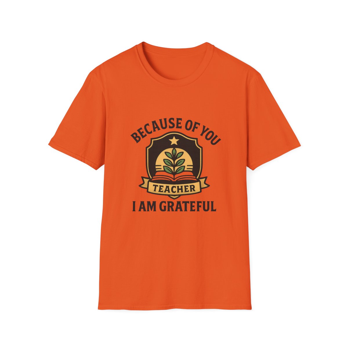 Teacher Appreciation Shirt, Because of You I Am Grateful T-Shirt, Teacher Gift, Thank You Teacher Tee, End of Year Gift